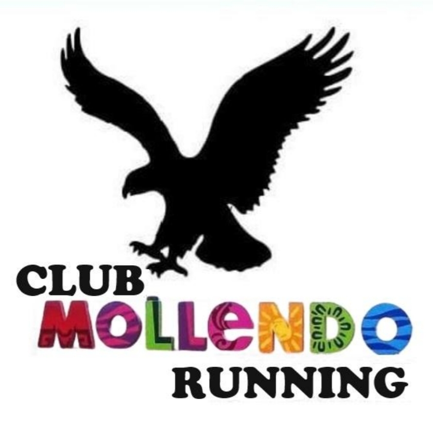 Foto del equipo MOLLENDO RUNNING